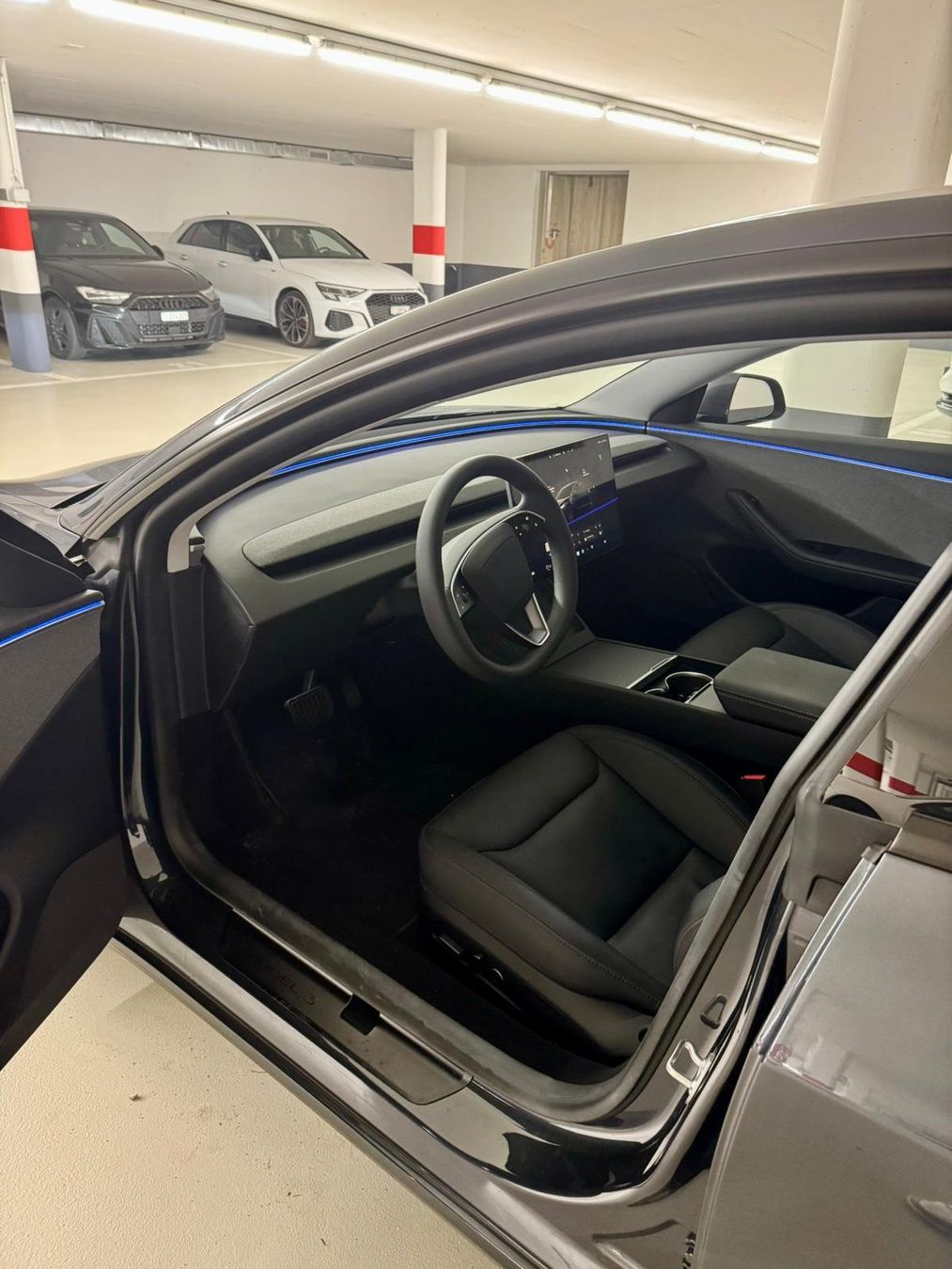 Tesla Automobili: Tesla 2025 Model 3 RWD grey stealth – Usato da Sorengo venduto da tia_jersey 2