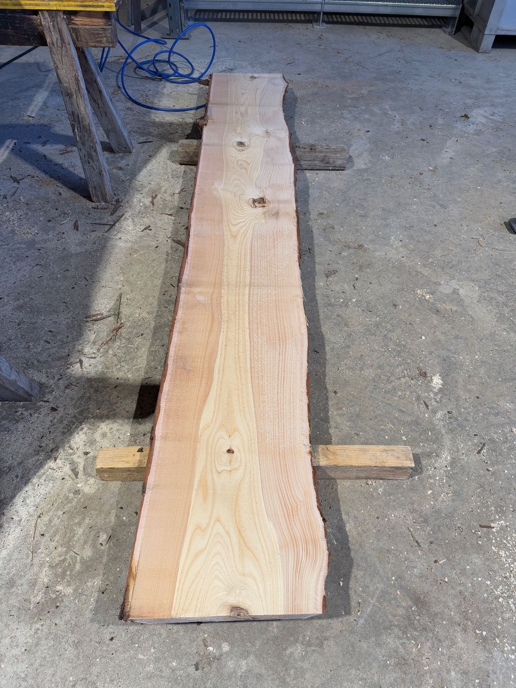 Articoli in legno: Thuja klotzbretter ganzer Stamm – Usato da Holziken venduto da Timbergrizzly