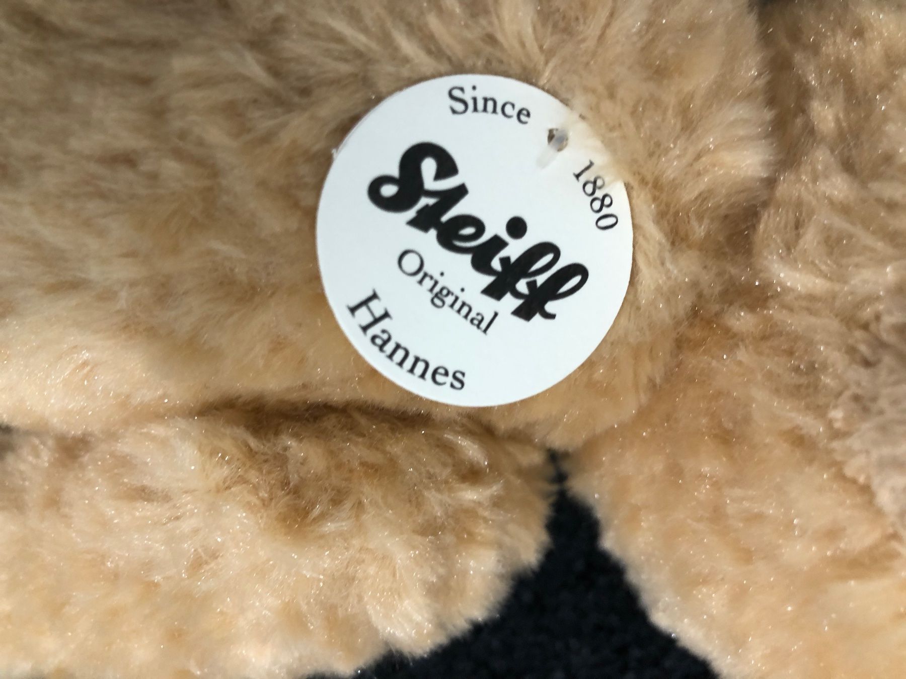 Steiff Giocattoli: Steiff Original Teddy Bär ***Neu und Original Verpackt*** – Nuovo e nell'imballaggio originale da Fehraltorf venduto da habibi2008 1