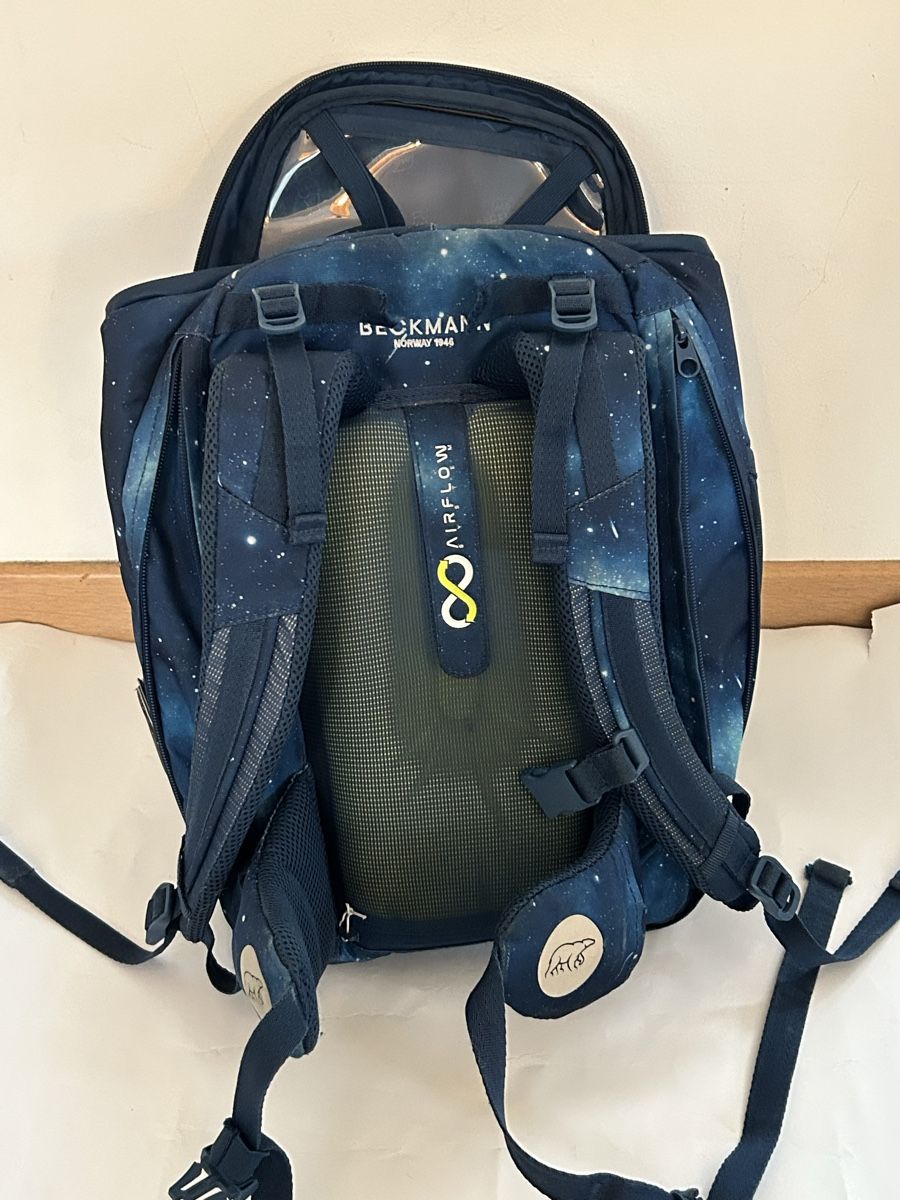 Ergobag Borse & Zaini: Schulrucksack  – Usato da Cavigliano venduto da Rohling2013 1