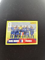 Panini FRA 13