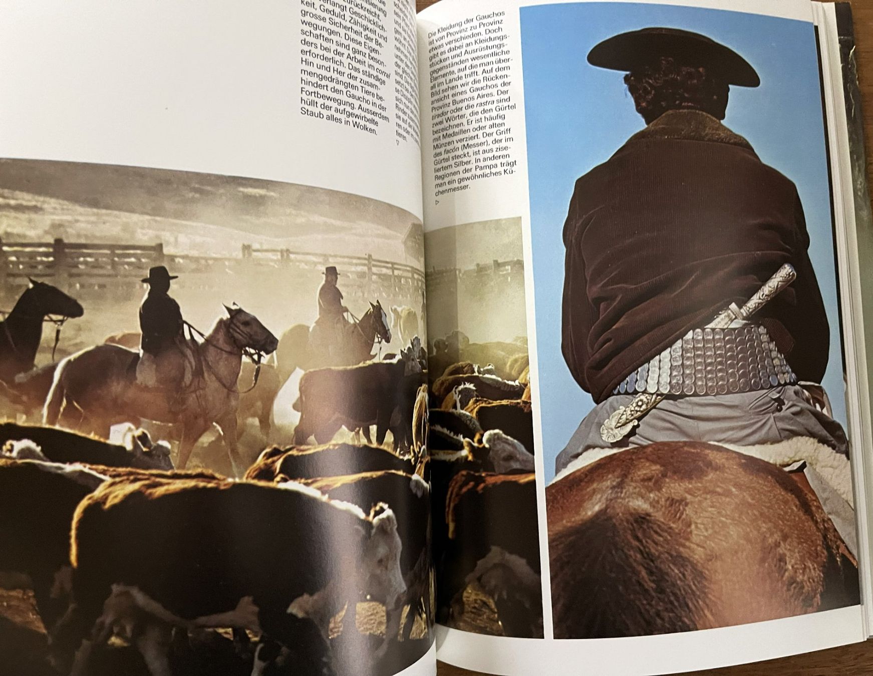 Libri: Silva Verlag, Argentinien , 1976 – Usato da Oftringen venduto da Vucki 7