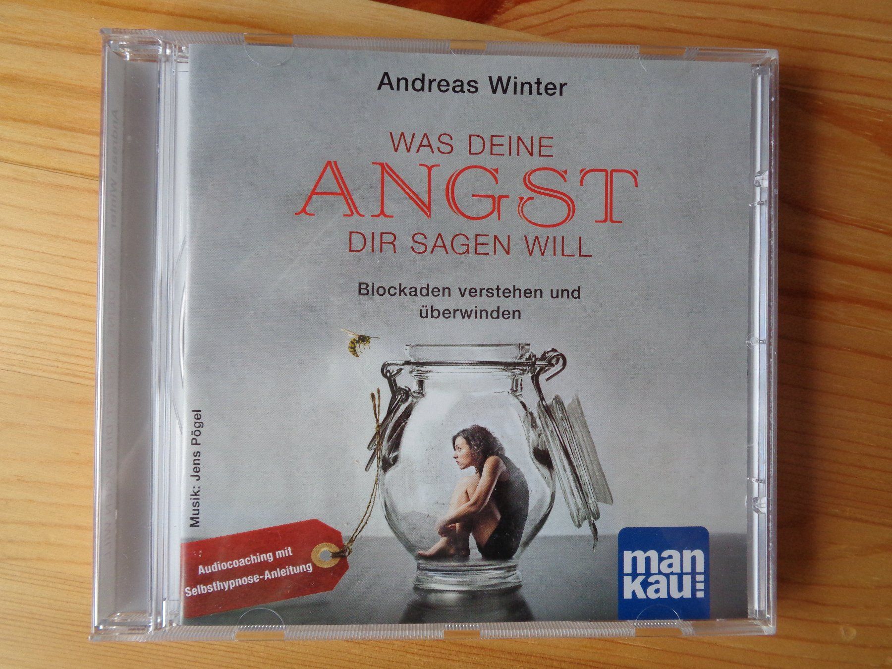 Audiolibri: Was deine Angst dir sagen will. Andreas Winter. CD – Usato da Wiesendangen venduto da Gullfoss