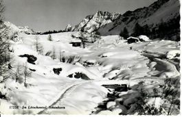 im Lötschental