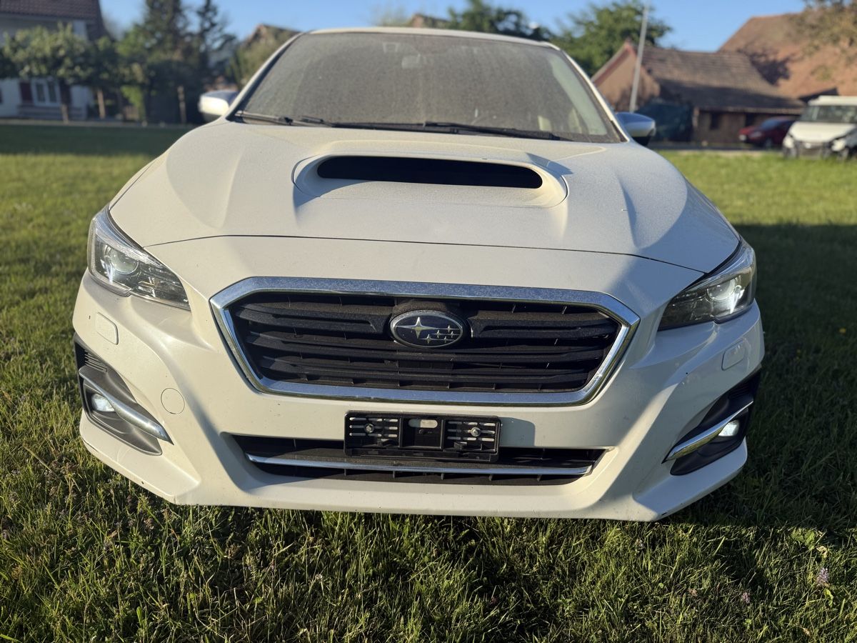 Subaru Automobili: Subaru Levorg 1,6 GTS 4WD – Usato da Niederbipp venduto da baggerch 3