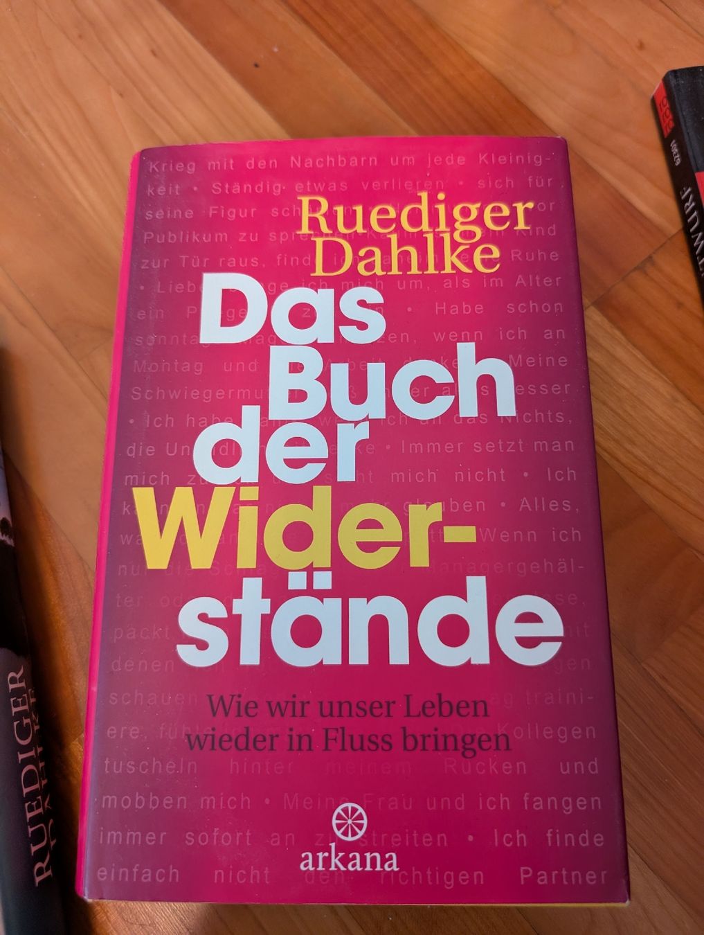 Libri: Das Buch der Widerstände und das Schatten Prinzip – Usato da Benglen venduto da kintaro-oe 1