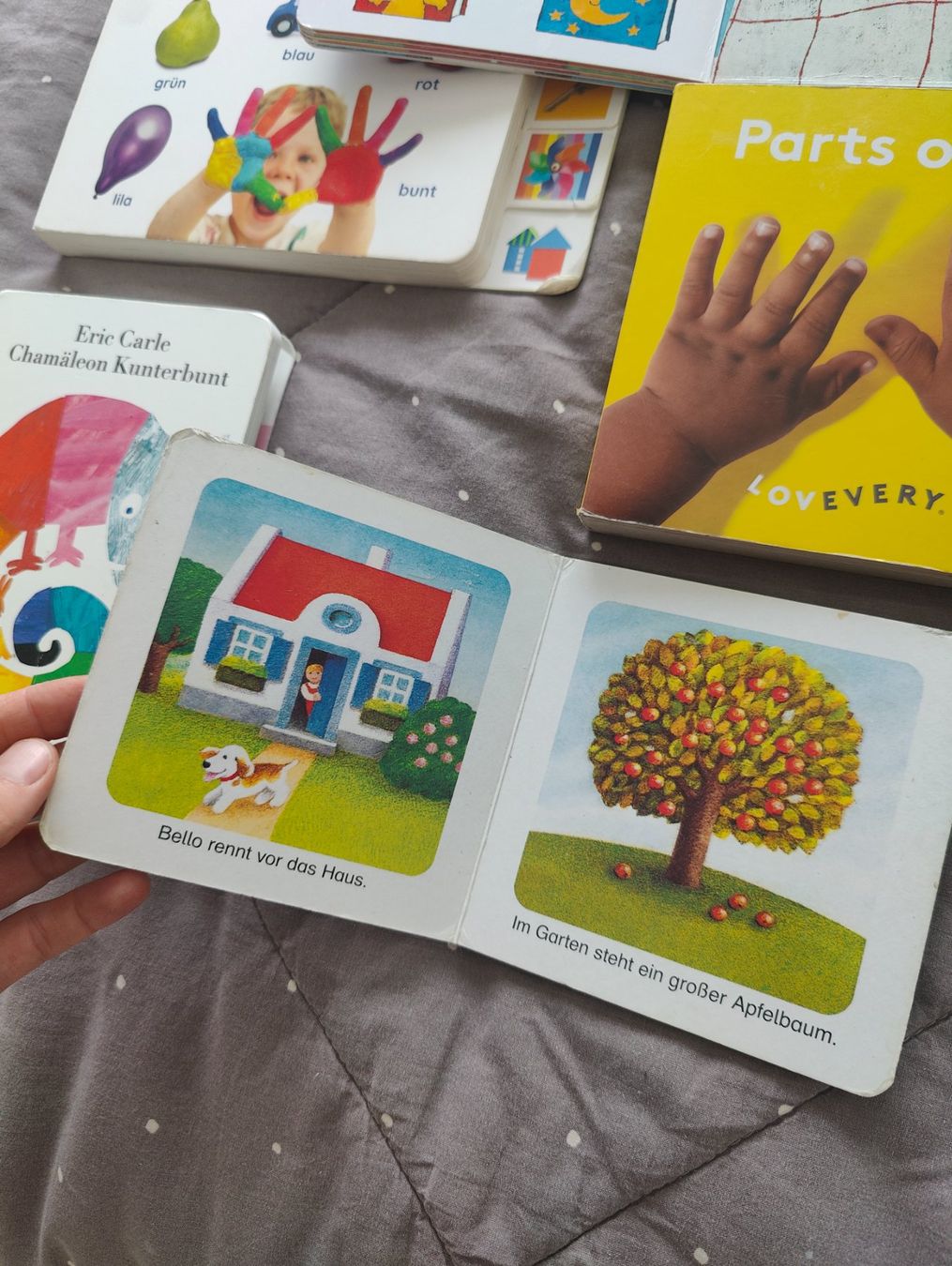 Libri: Kinderbücher: Lovevery, etc – Usato da Zürich venduto da sof_f2ts 5