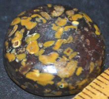Cabochon L-1402 – Frucht Jaspis – 19x19mm
