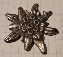 Pin Edelweiss