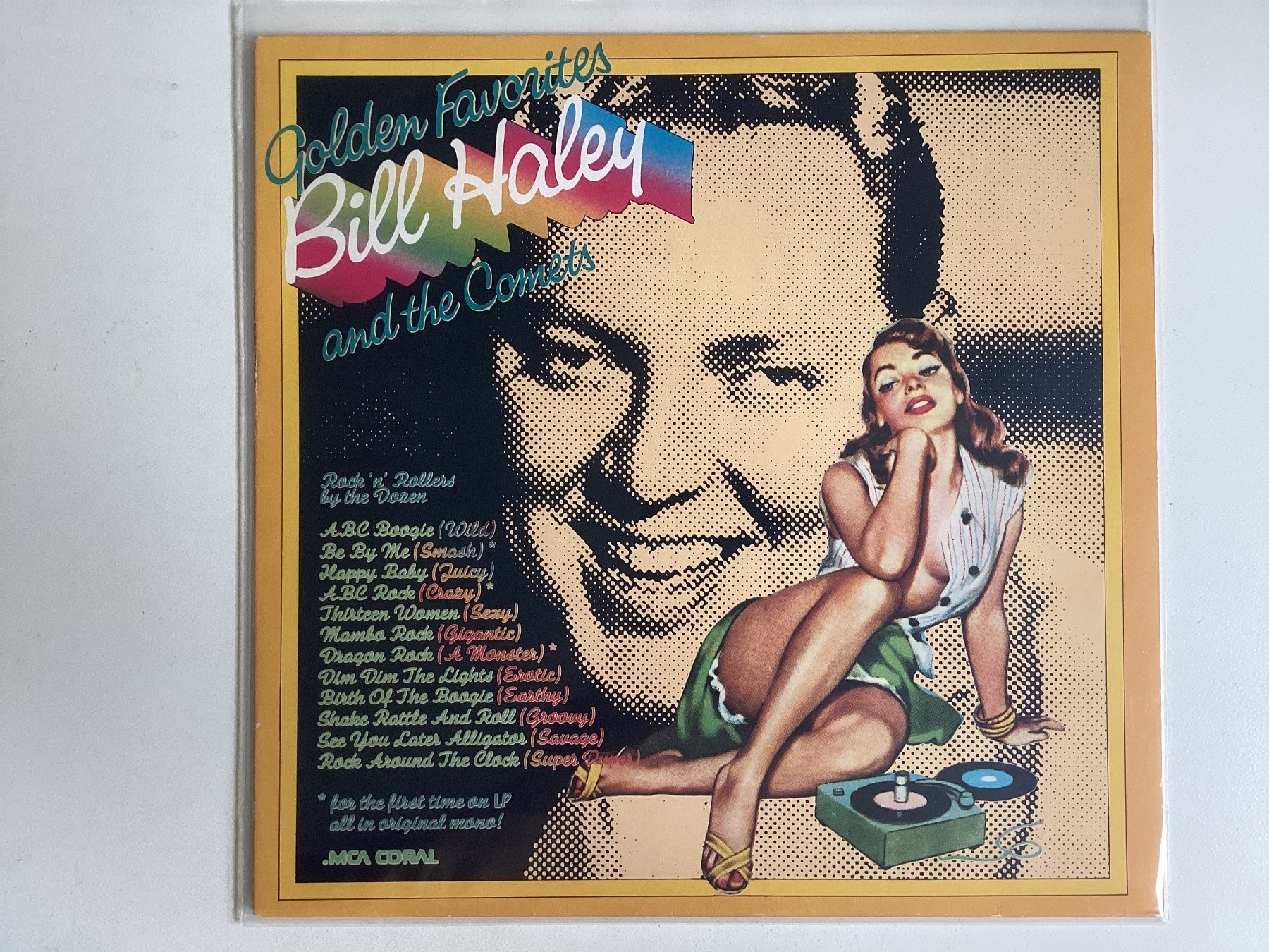 Dischi in vinile: Bill Haley LP - Golden Favourites – Usato da Gutenswil venduto da Hamzian