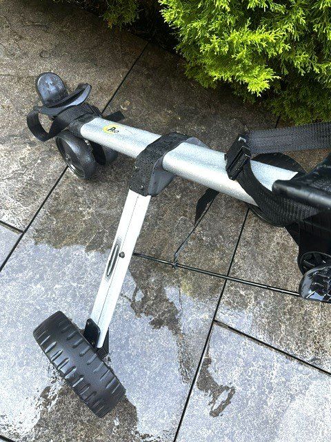Big Max Trolley: +  kLappbArteR GoLferwAgeN  + – Usato da Winkel venduto da zeho 2