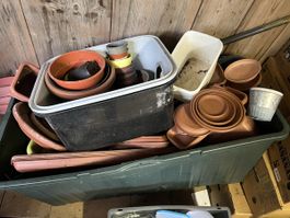 Gratis  Blumenkisten, Blumentöpfe, Untersetzer, usw