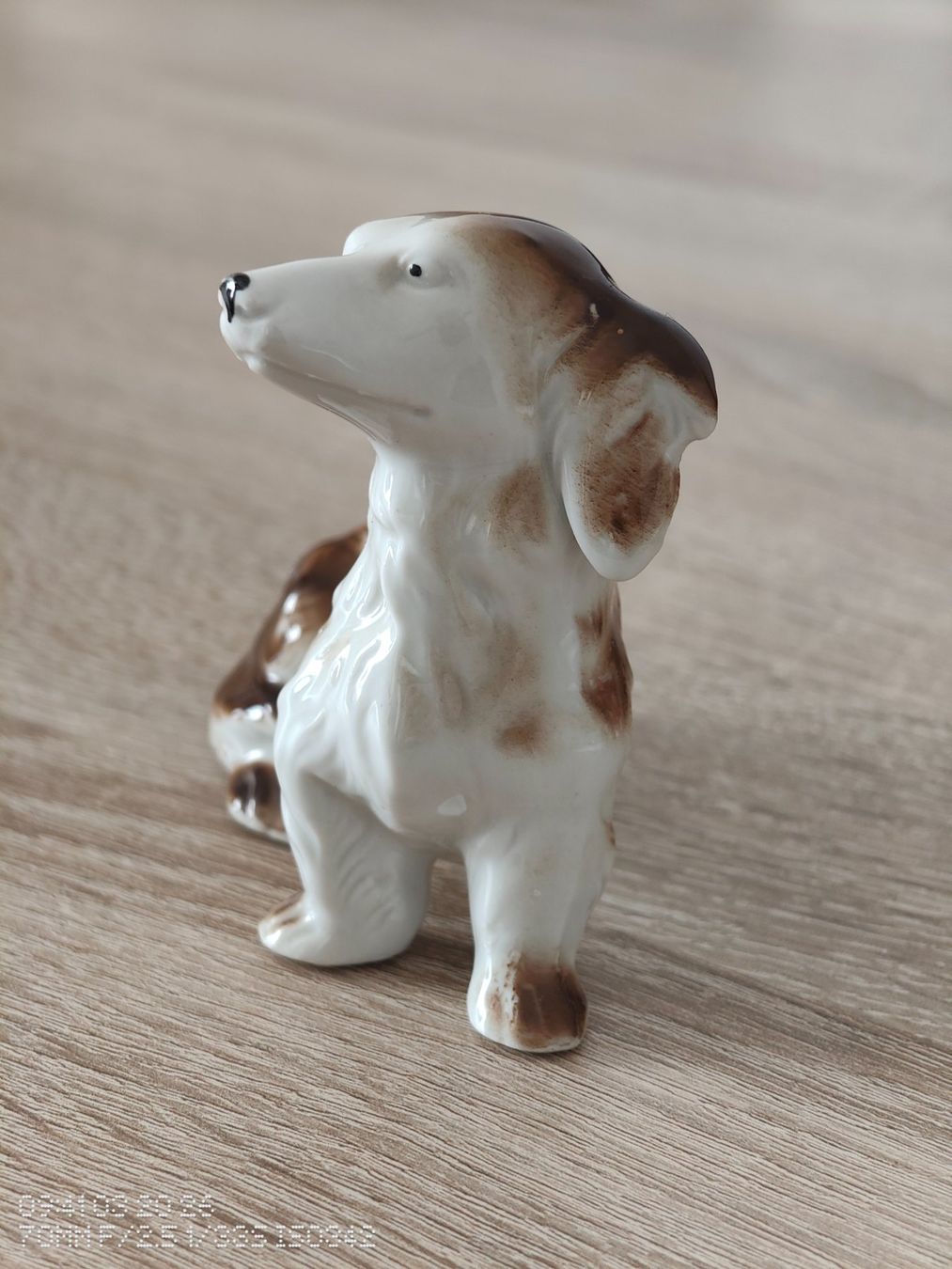 Figuren: Porzellan Langhaardackel – Gebraucht aus St. Gallen von Ricardo_Deals 2