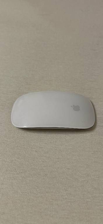 Souris: Un Magic Mouse 2 (modello A1657) – D'occasion à Lugaggia par eri_bf2l
