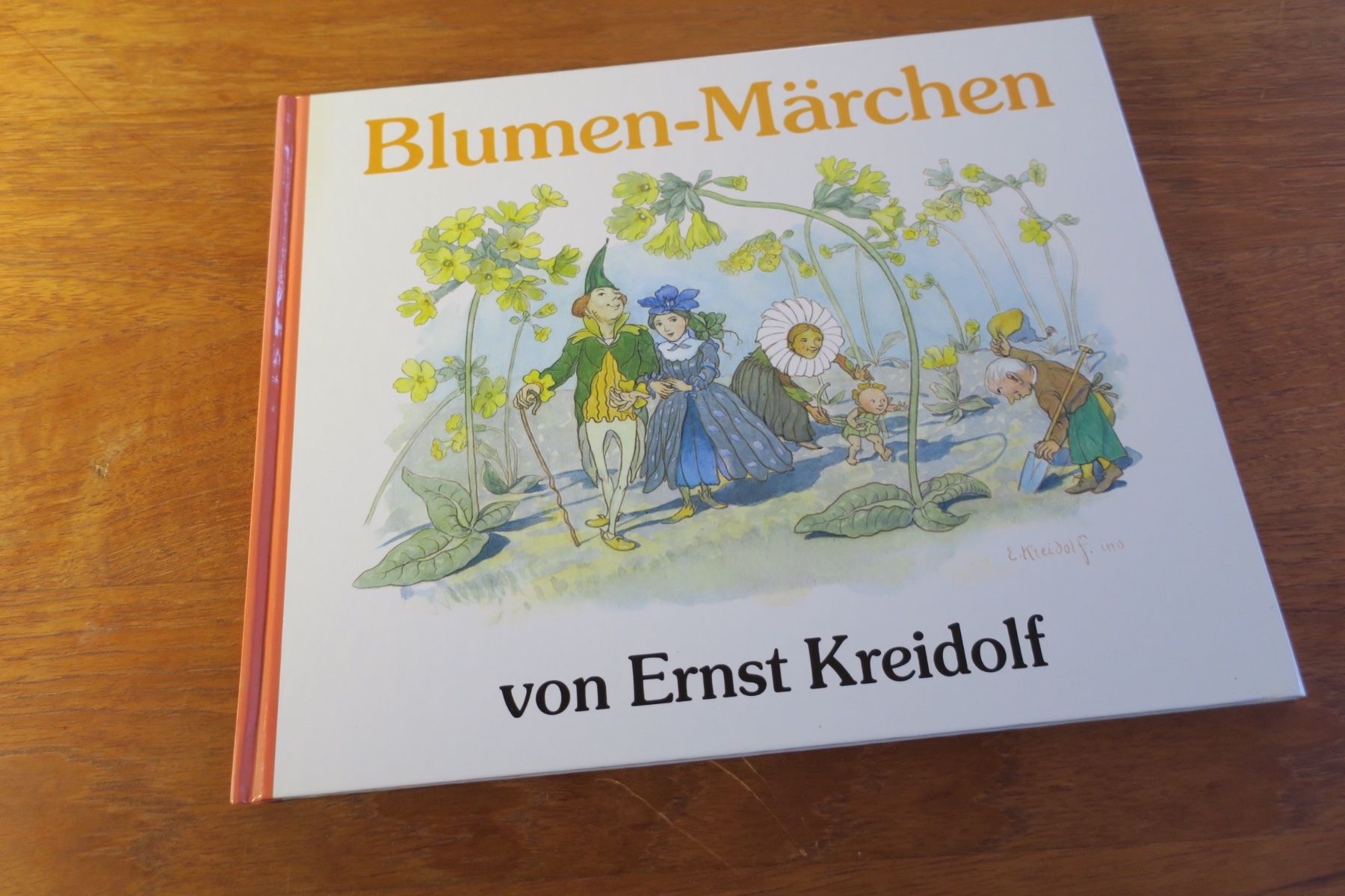 Libri: Ernst Kreidolf / BLUMENMÄRCHEN – Usato da Langenthal venduto da Riccardamax