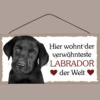 🔥 LABRADOR Holzschild mit Kordel 🎀 12x25cm OVP 🔥
