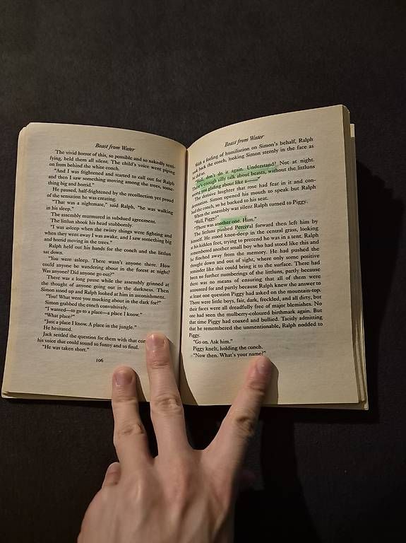 Bücher: Lord of the Flies – Gebraucht aus Nürensdorf von luc_9ksf 3