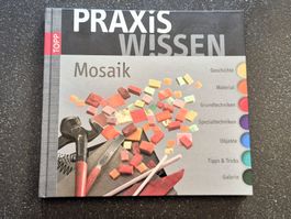 Praxis Wissen - Mosaik