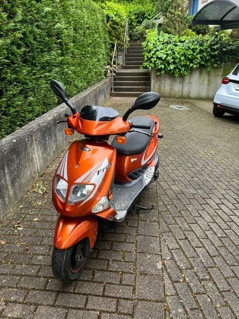 Scooter: Roller T-Rex 125 – Usato da Binningen venduto da staubsauger123