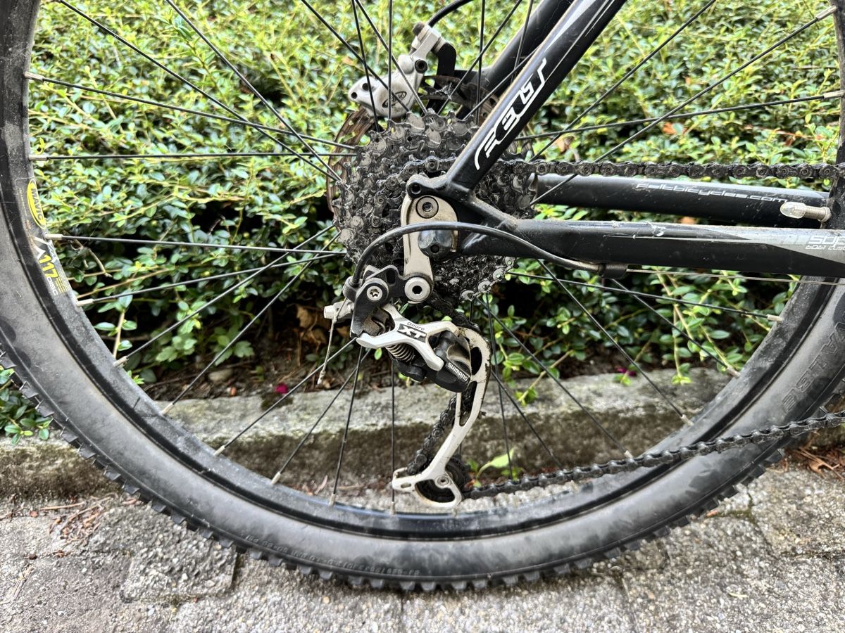 Felt Biciclette: Felt Mountainbike  – Usato da Maienfeld venduto da AGueraslan 3