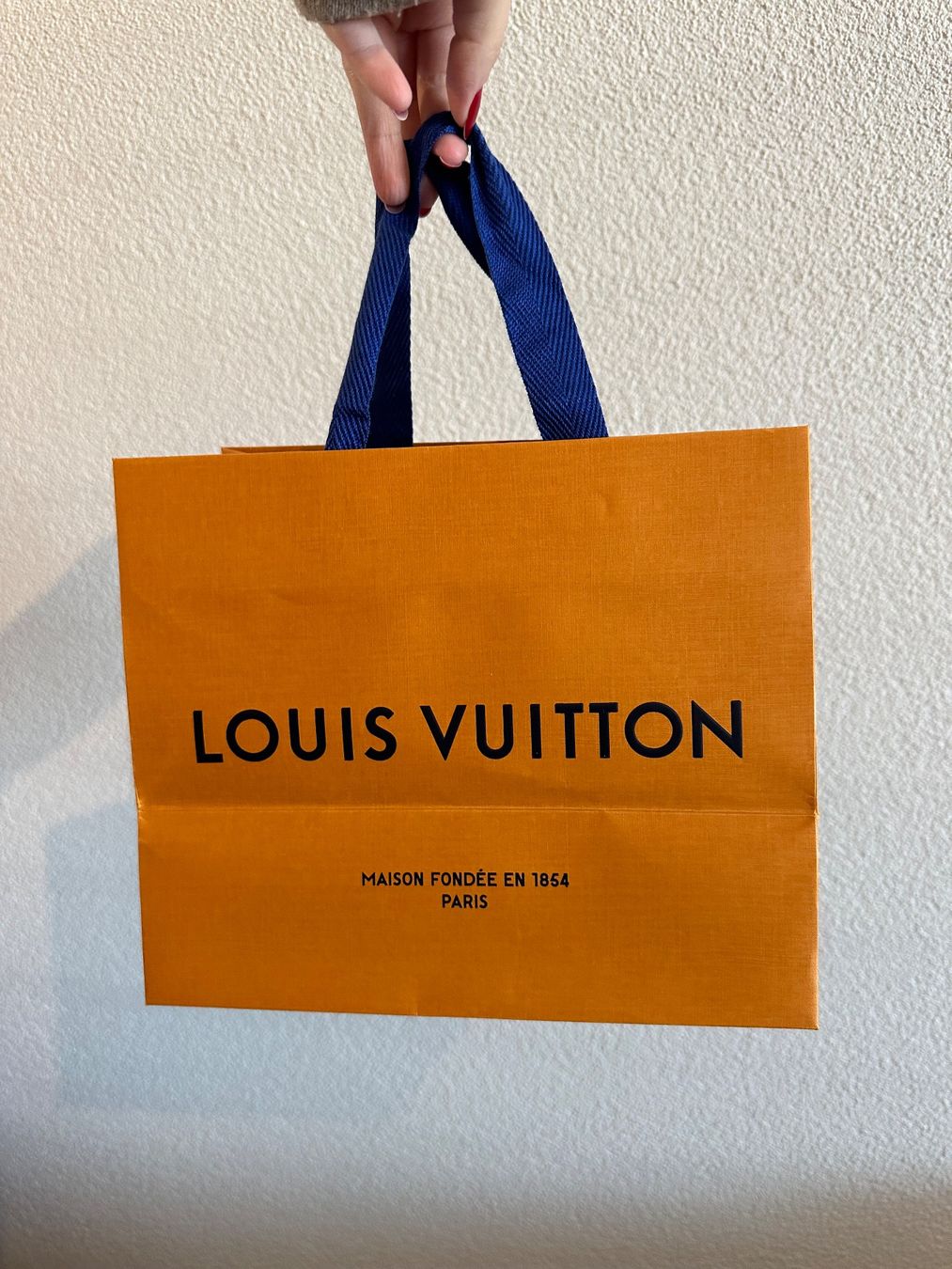 Louis Vuitton Taschen: Louis Vuitton Tragetasche klein - NEU! – Neu und originalverpackt aus Pfäffikon SZ von ansyyy 2