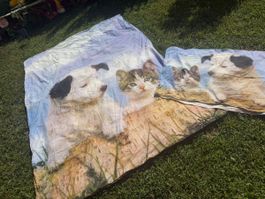 Bettwäsche 160x210 cm und 65×100cm - Baumwolle