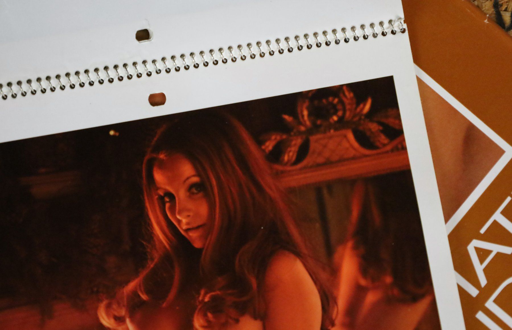 Playboy Calendari: PLAYBOY Kalender 1972 – Usato da Birrwil venduto da brandschatz_birrwil 9