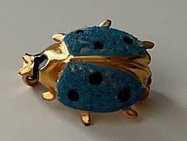 Blaue Marienkäfer-Brosche mit goldigem Körper🐞🦋🐝...