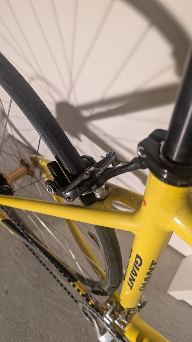 Giant Biciclette: Giant TCR Campagnolo – Usato da Lostorf venduto da Simcom2 1