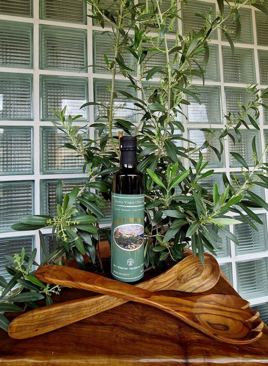 Extra Vergin Olive Oil vom Berg Athos ( Greece ) (Neu und ...