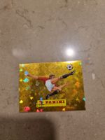 Panini WM 2026 -00 selten