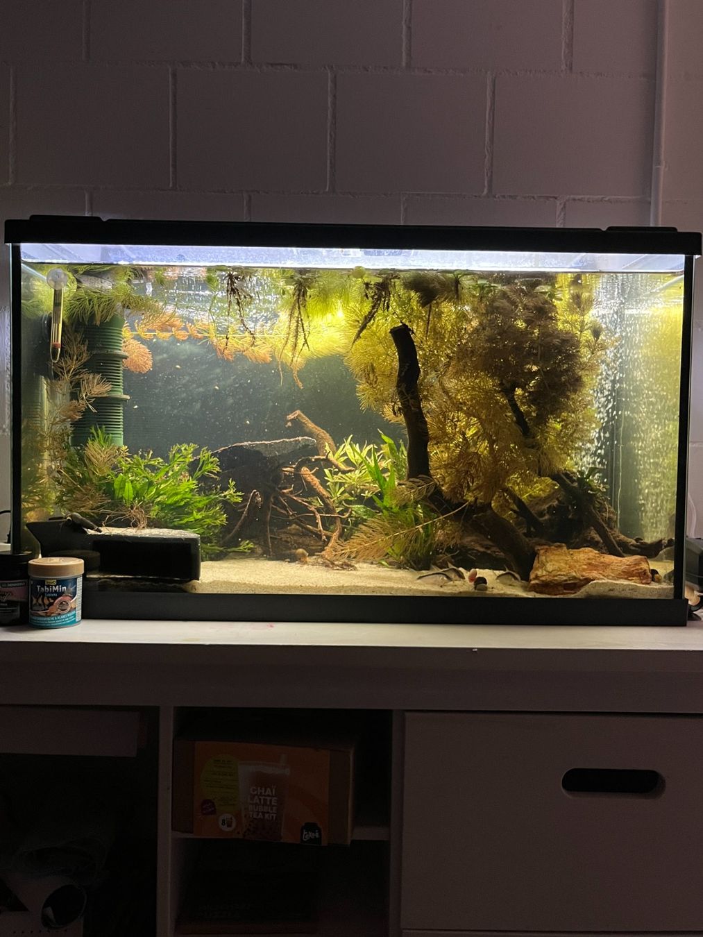 Eheim Acquari: 126 Liter Einsteiger/Gesselschaftsaquarium – Usato da Zollikofen venduto da cibinkkuruvilla 5