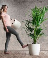 Pflanztopf Ella Ø 40 H 35 cm mit Rollen Weiss 36L