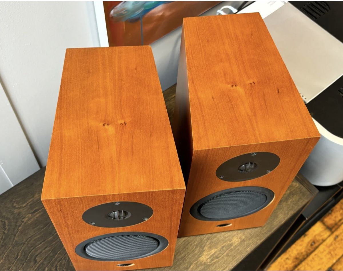 Linn Casse acustiche: Linn Katan single wire high end Lautsprecher – Usato da Trimbach venduto da SABO-61 6