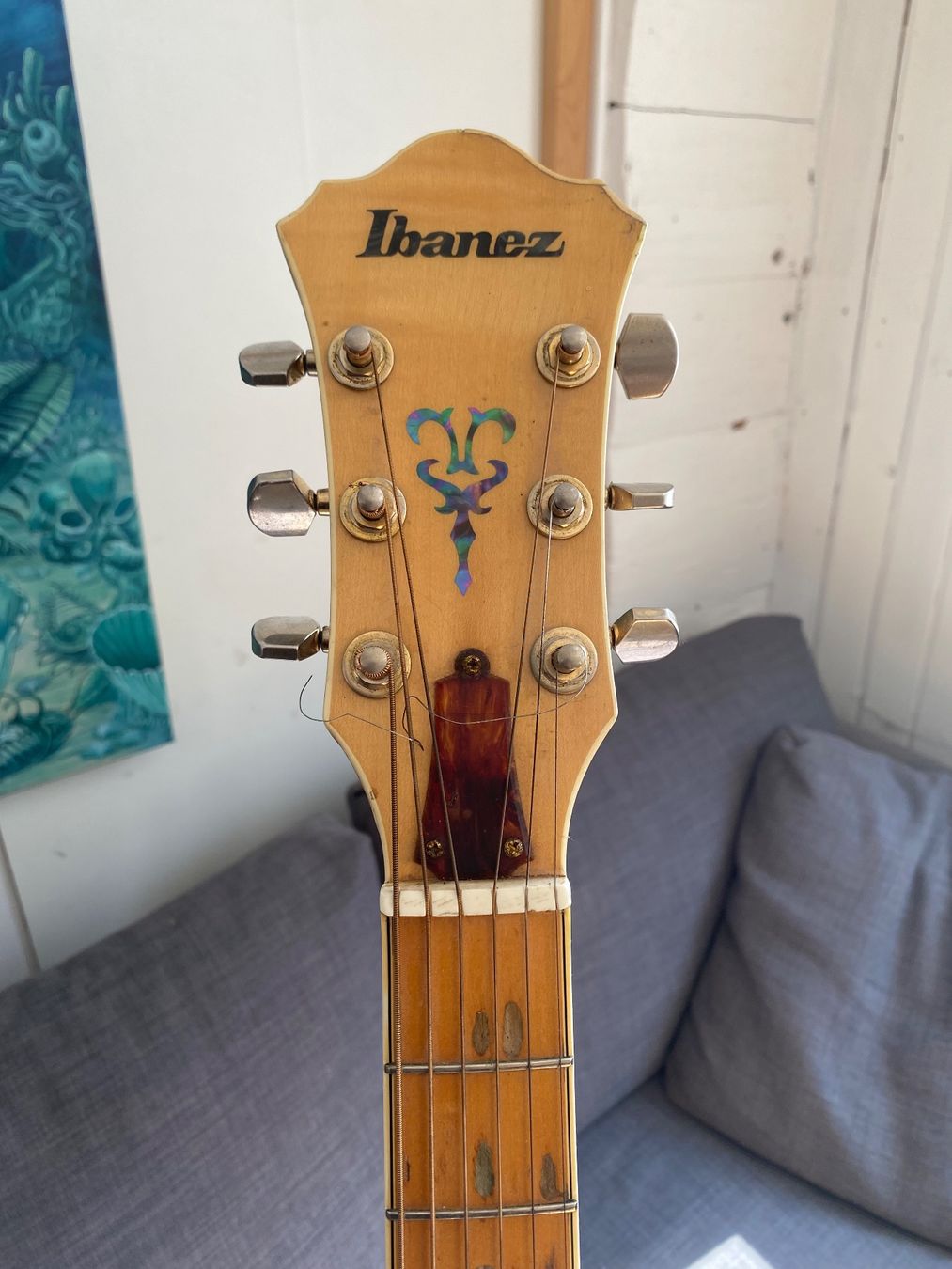 Strumenti musicali: Westerngittare Ibanez – Usato da Trogen venduto da ste_2qql 1