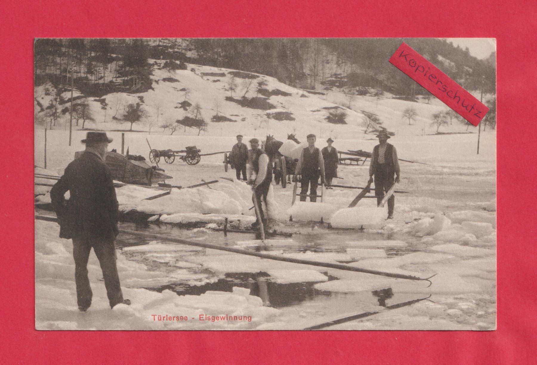 Cartoline postali: Türlersee - Eisgewinnung – Usato da Zürich venduto da Gill46