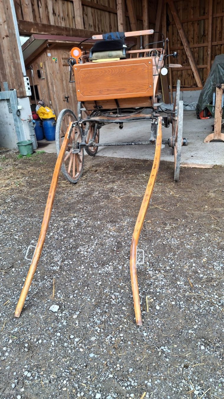 Calèches: Oldtimer Holzbreak – D'occasion à Möriken AG par rotone 2