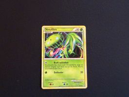 Venuflibis / 46/95