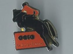 CSIO St. Gallen, Reiter Pferd, Pin