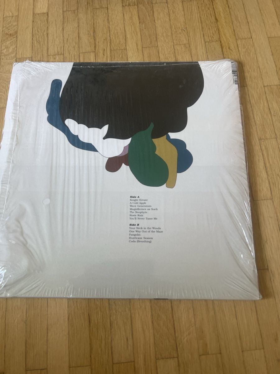 Dischi in vinile: David Grubbs - A Guess at the Riddle LP New – Nuovo (secondo la descrizione) da Altstätten SG venduto da ruf_7sp5 1