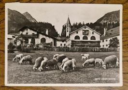 Alt Silvaplana, Schafherde 1949, n. Murten z. Fam. Büdi-Bär