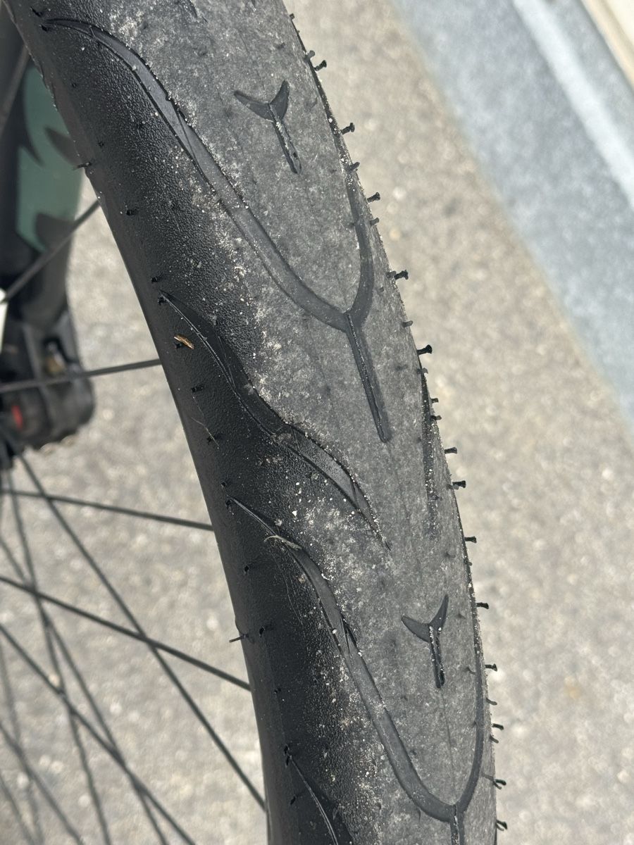 Commencal Velos: Commencal dirt bike absolut – Gebraucht aus Täsch von elgordo 2