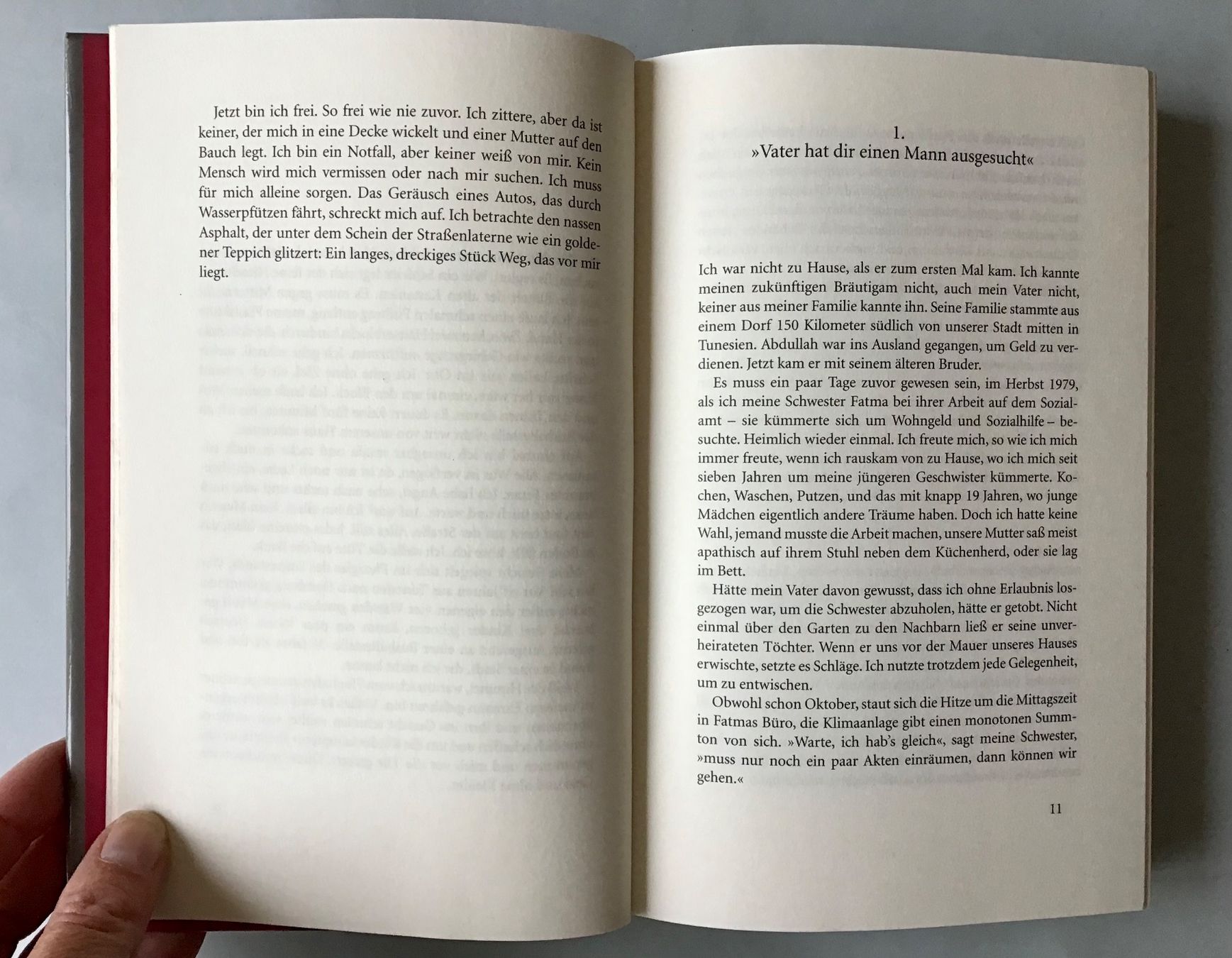 Libri: Biografie über Esma Abdelhamid - Löwenmutter – Usato da Bubendorf venduto da Alpenheidi 6