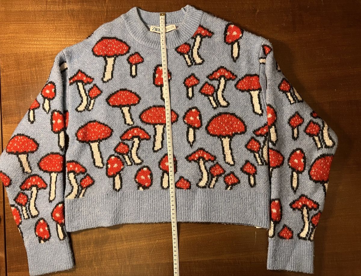 Zara Pullover & Sweatshirts: ZARA Pullover Gr. S – Gebraucht aus Zürich von car_x52z 1