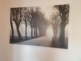Schönes Leinwandbild 77x117 cm 