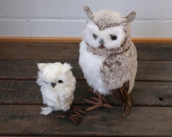  Kaufen auf Ricardo Motiv 