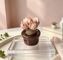 Kaktus Topfpflanze: Keramik/Deko/Geschenk