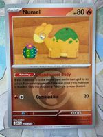 Pokémon TCG – Numel Energy Pattern (ASC027)