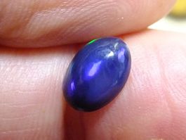 Welo Opale behandelt Cabochon 0.99 karat Top Blau Feuer AAA