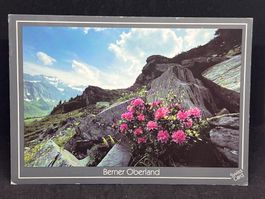 Berner Oberland: Lenk, Leiterli, Alpenblumenweg